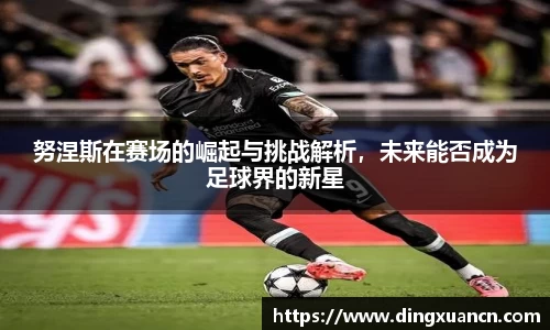 中欧体育